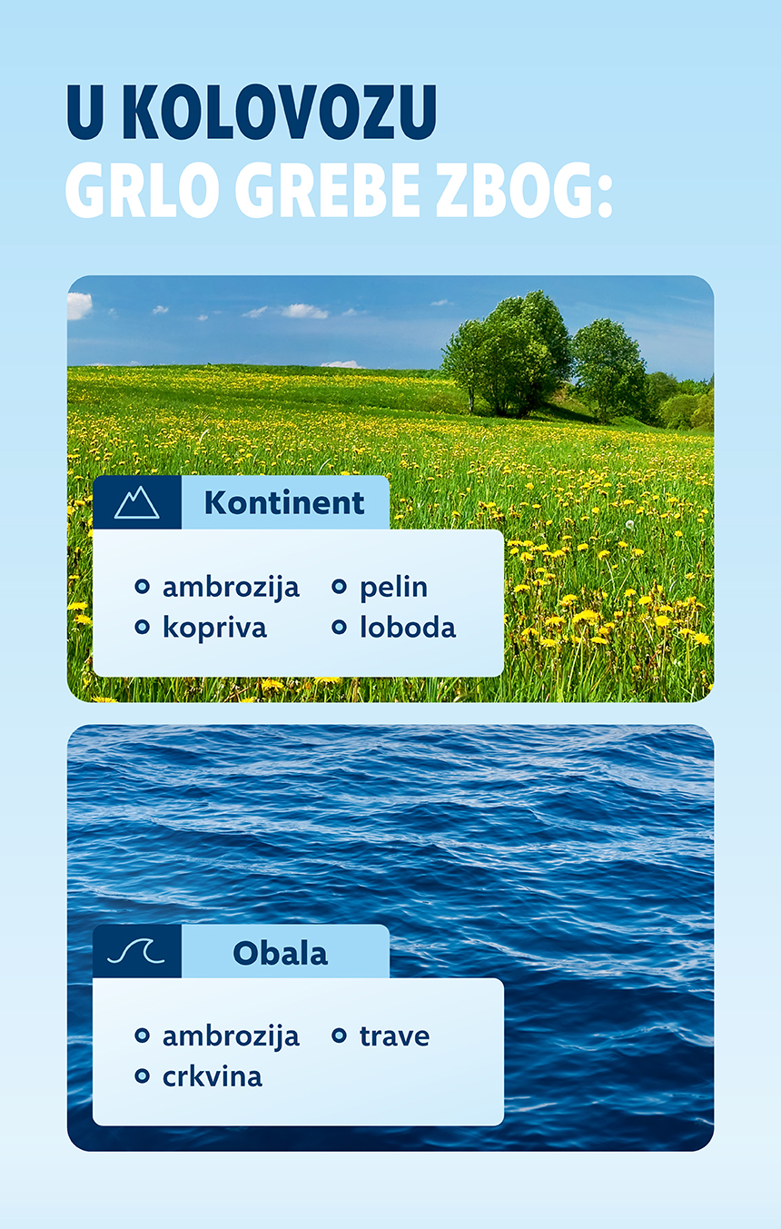 alergy calendar